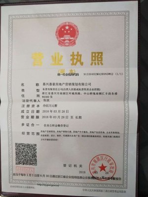 廣告策劃與設計并重 解析嘉興嘉豪房地產的營銷創新之道